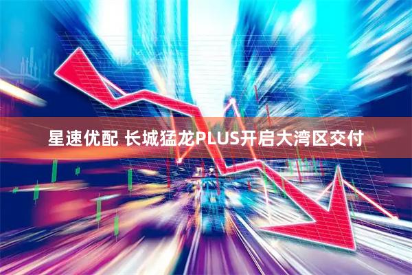 星速优配 长城猛龙PLUS开启大湾区交付